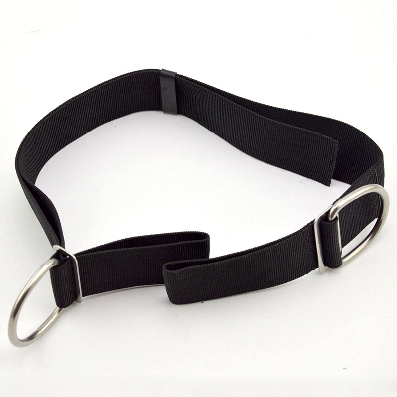 Adjustable Tech Dive Crotch St - Tech Gear Accessories ulasan dan harga